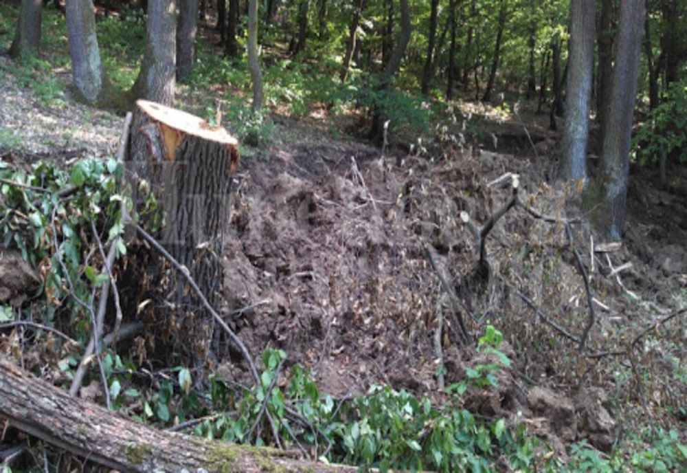 Ministrul Barna despre SUMAL 2.0: „Sistemul este funcțional și utilizat în momentul de față de peste 30.000 de utilizatori”