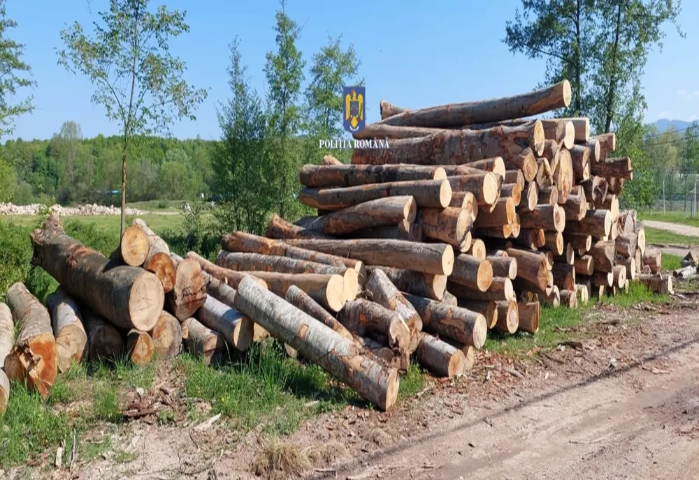 Surse. Coaliția a plafonat prețul la lemnul de foc. Exportul va fi interzis