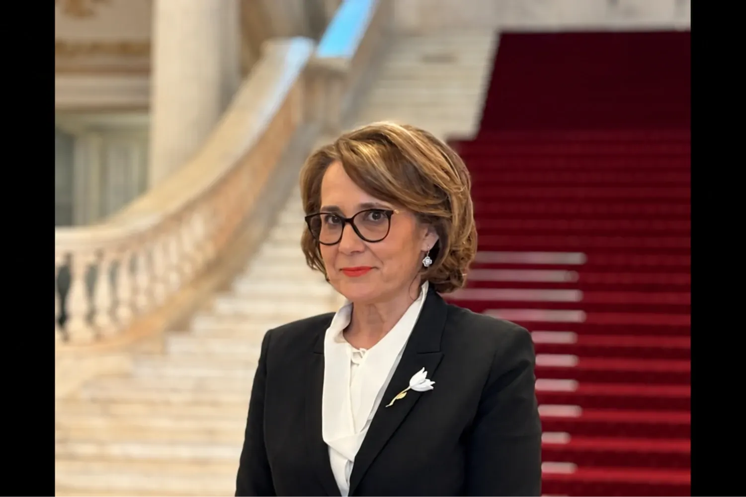 Nicoleta Pauliuc (PNL)