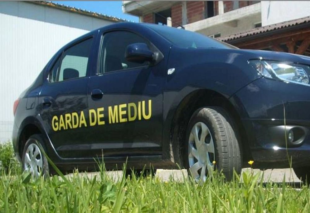 Amenzi de peste 100.000 de lei date de Garda de Mediu Covasna în luna octombrie