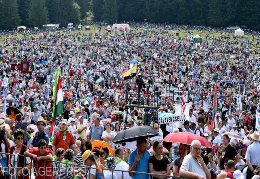 Autoritățile cer relocarea unei ursoaice cu pui din Șumuleu Ciuc, unde va avea loc pelerinajul catolic de Rusalii