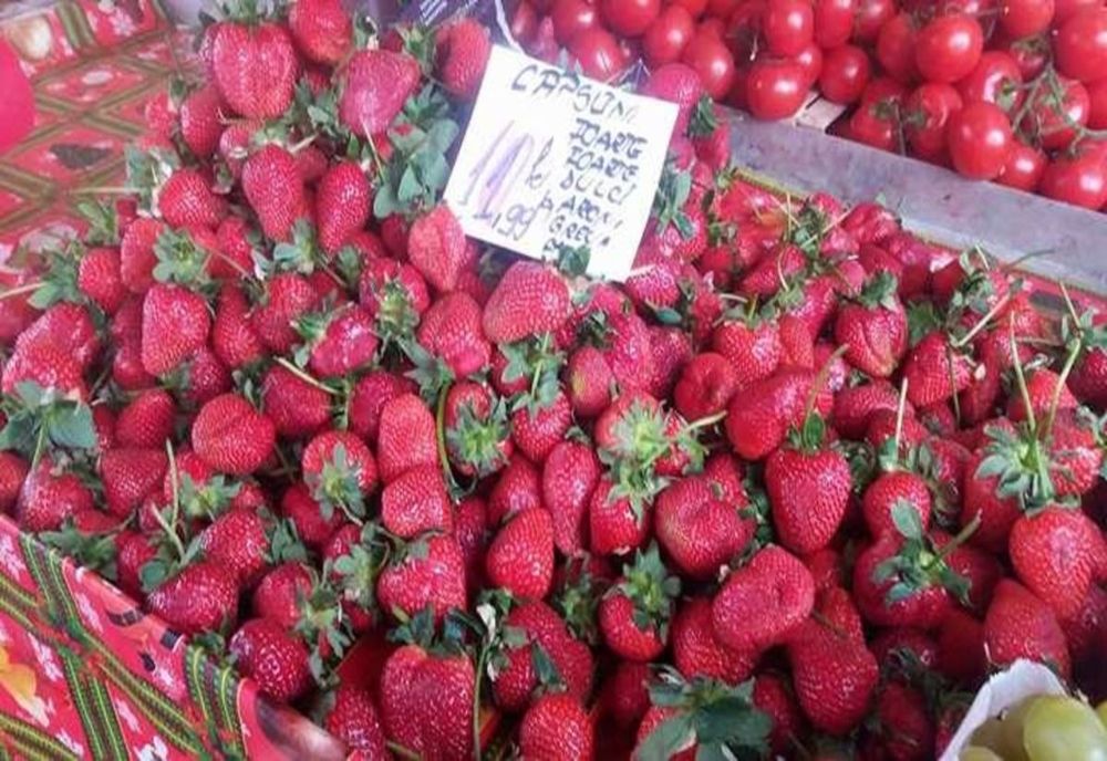 UDMR propune o nouă schemă de ajutor de stat pentru cultivatorii de căpșune