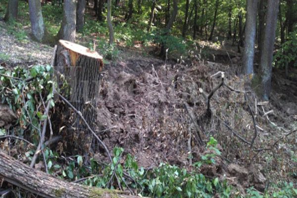 Ministrul Barna despre SUMAL 2.0: „Sistemul este funcțional și utilizat în momentul de față de peste 30.000 de utilizatori”