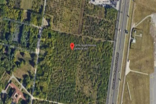 Culisele statului paralel: Afacerea Băneasa, una dintre cele mai mari bombe judiciare și imobiliare de după 1989