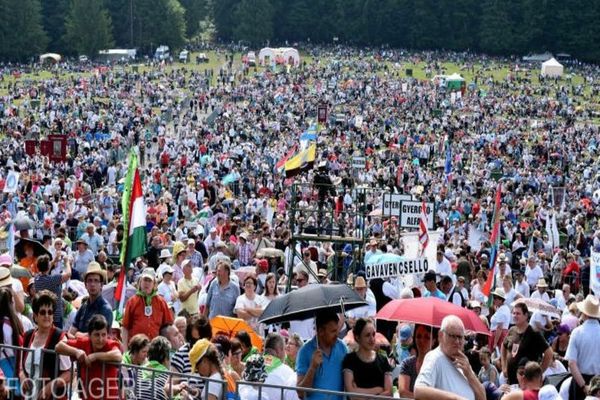 Autoritățile cer relocarea unei ursoaice cu pui din Șumuleu Ciuc, unde va avea loc pelerinajul catolic de Rusalii