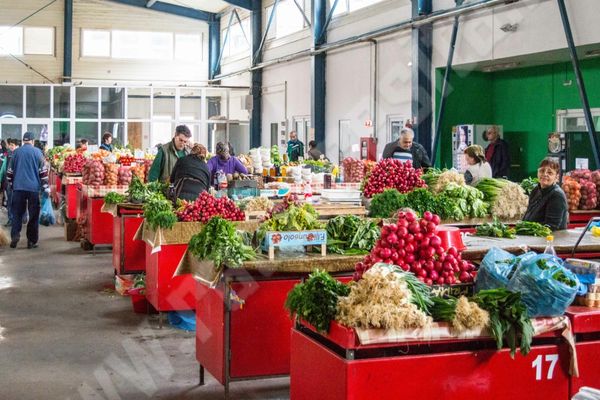CULISELE STATULUI PARALEL. Legi otrăvitoare. Agricultorii-fantomă, protejați
