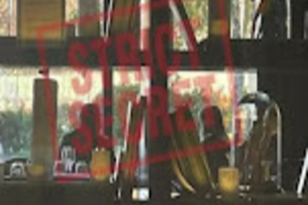 Întâlnire de TAINĂ între Elena Udrea și Ionel Arsene la „Stejarii”! CE pun la cale - Dezvăluiri la „Culisele statului paralel”