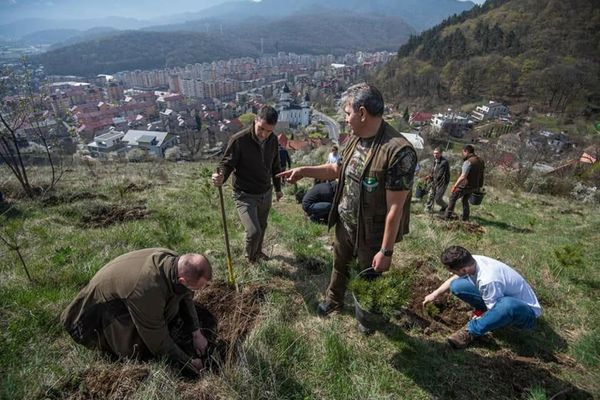 Ministrul Mediului a plantat copaci la Braşov!