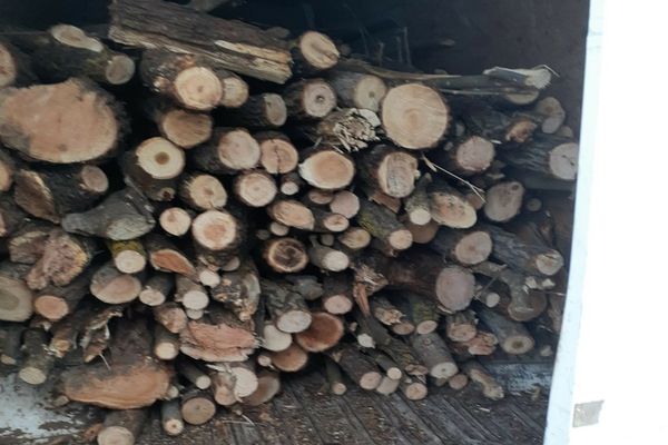 Guvernul anunță noi ajutoare de stat pentru românii care se încălzesc cu lemne. Ce sume ar putea să primească oamenii