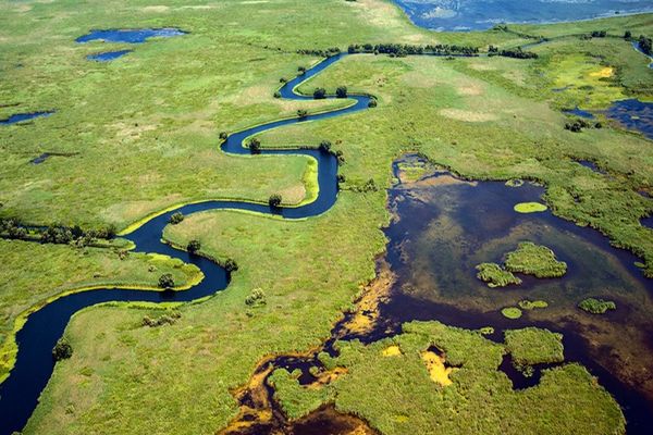 Ministerul Mediului intervine în disputa cu Ucraina - ”Vom împiedica toate lucrările care pot afecta biodiversitatea şi ecosistemul Deltei Dunării”