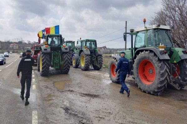 Fermierii își strigă disperarea! Acuzații grave la vârful Ministerului Agriculturii: "Maria Cristina Manda, omul securiștilor, blochează ajutoarele!"