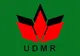 UDMR decide astăzi dacă susține viitorul Guvern condus de Eugen Tomac