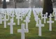 UDMR salută raportul SUA care menționează profanarea cimitirului militar din Valea Uzului