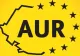 AUR propune eliminarea numirilor politice fără competență în energie