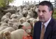 Ministrul Agriculturii, despre pesta micilor rumegătoare:”România trebuie să-şi păstreze poziţia de cel mai mare exportator de ovine din UE”